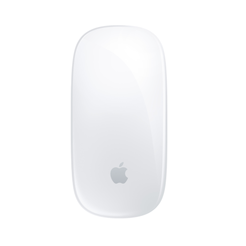 Apple MK2E3ZA/A Magic Mouse (USB-C to Lightning Cable)
